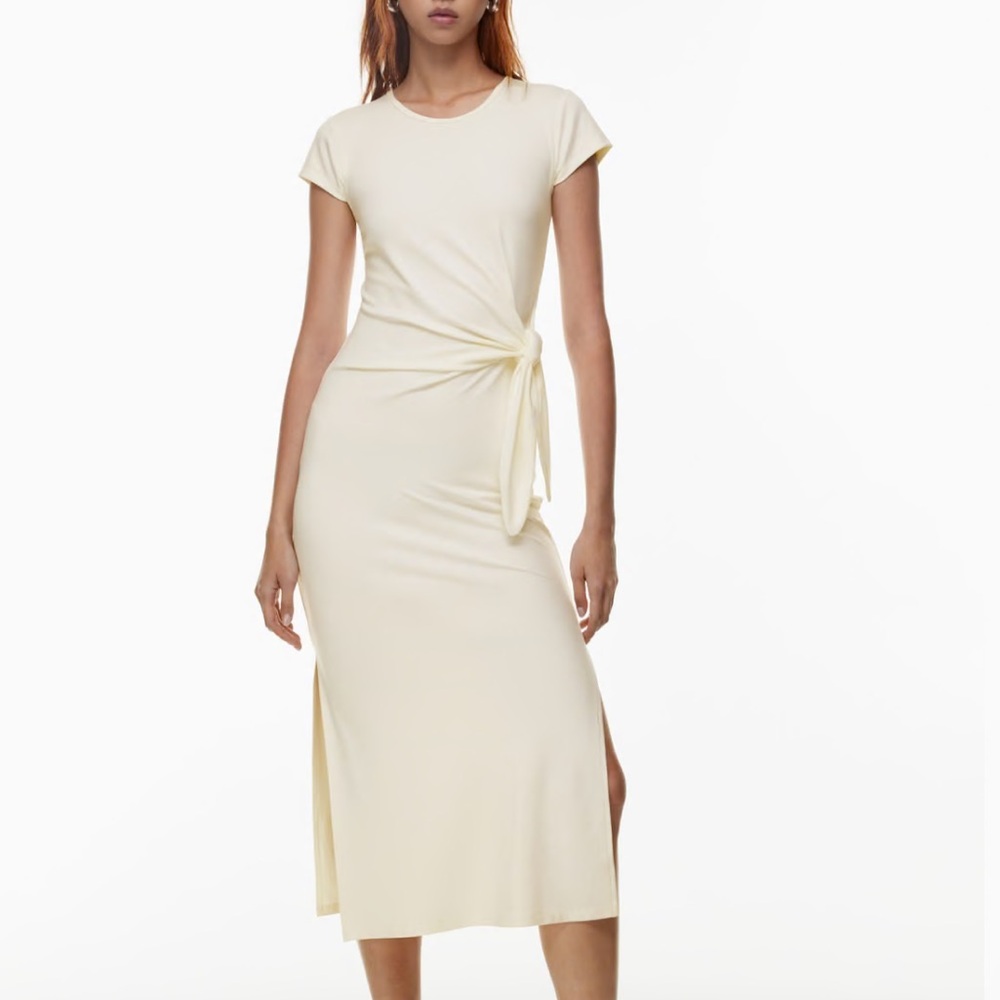 Aritzia Fortune Maxi Dress